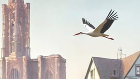 Visuel graphique vue de Strasbourg sur la Cathédrale avec une cigogne volant dans le ciel, extrait de l'affiche du colloque